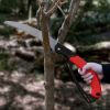 Hand Pruning Saw, Folding Camping Saw, Strong SK-5 Sharp Tree Saws with 10" Blade - Perfect for Pruning Trimming Trees Branches Camping